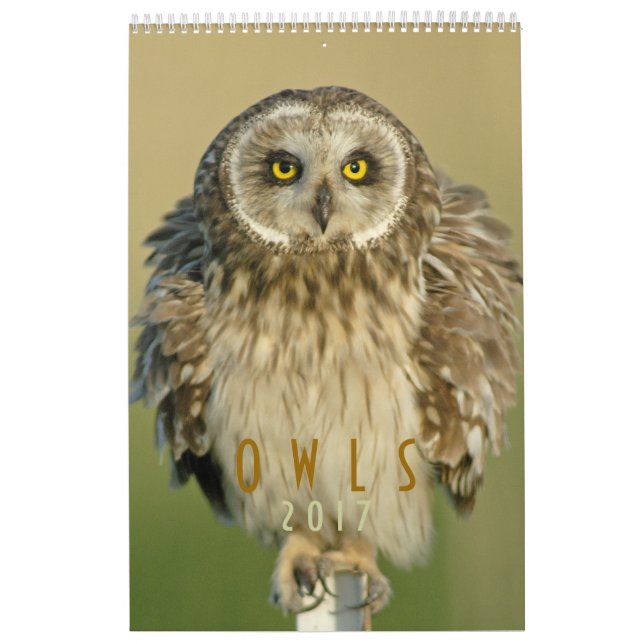 Väggkalender 2017 för ugglaälskare kalender (Omslag)