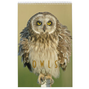 Väggkalender 2017 för ugglaälskare kalender