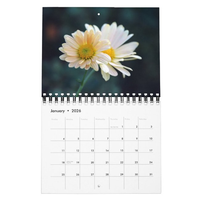 Väggkalender för 2012 daisy kalender (Jan 2026)