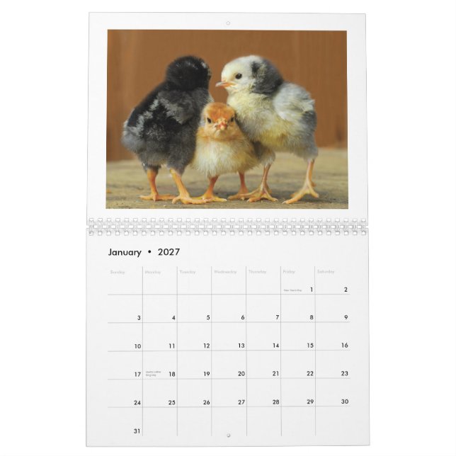 Väggkalender för 2015 hönor kalender (Jan 2027)