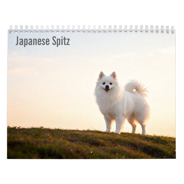 Väggkalender för Japanese Spitz 2027 Kalender (Omslag)