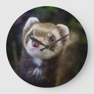 Väggklocka för Ferret