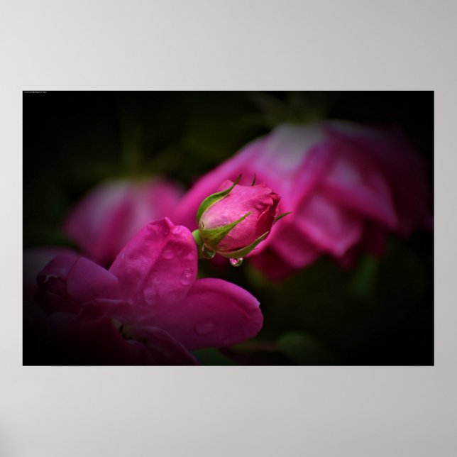 Väggkonst (Framsidan)