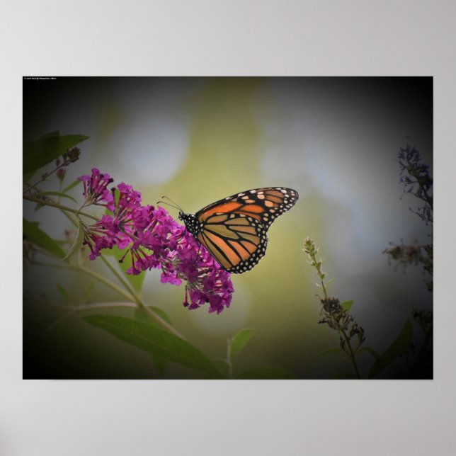 Väggkonst (Framsidan)