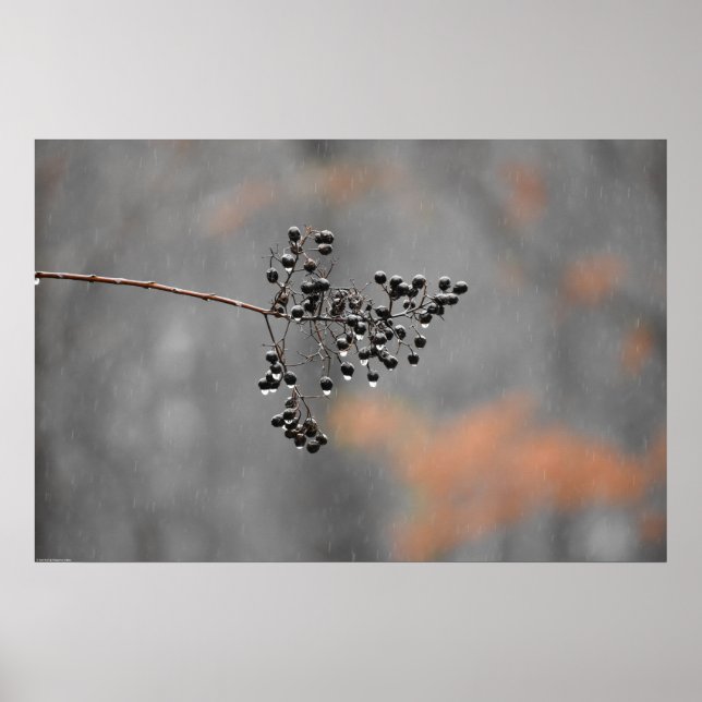 Väggkonst (Framsidan)