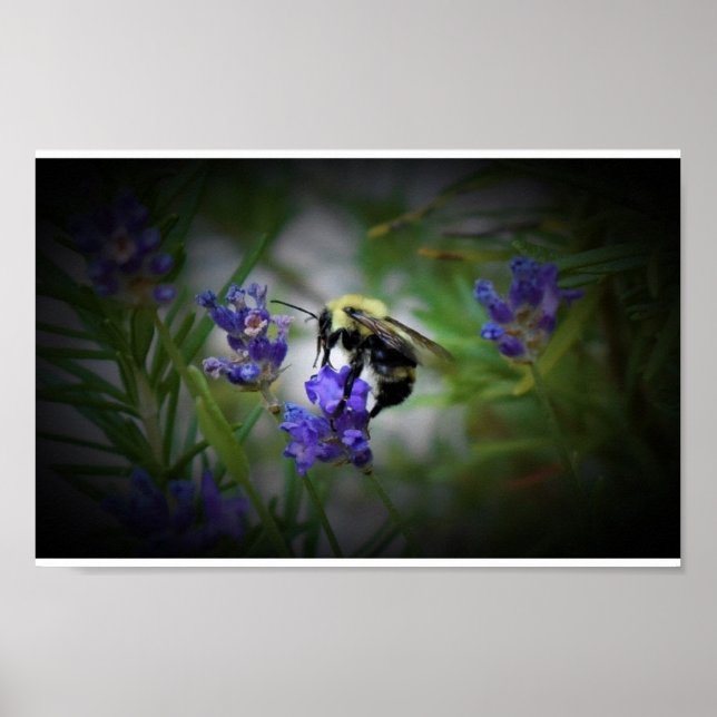 Väggkonst (Framsidan)