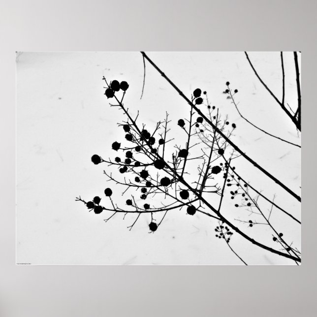 Väggkonst (Framsidan)