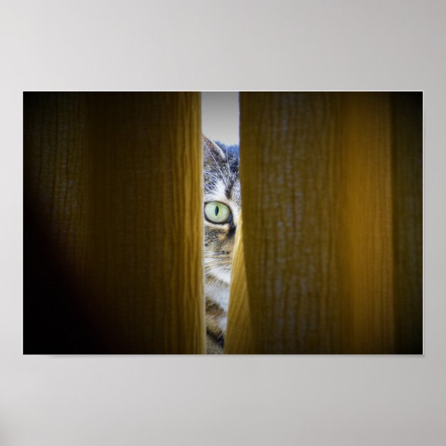 Väggkonst (Framsidan)