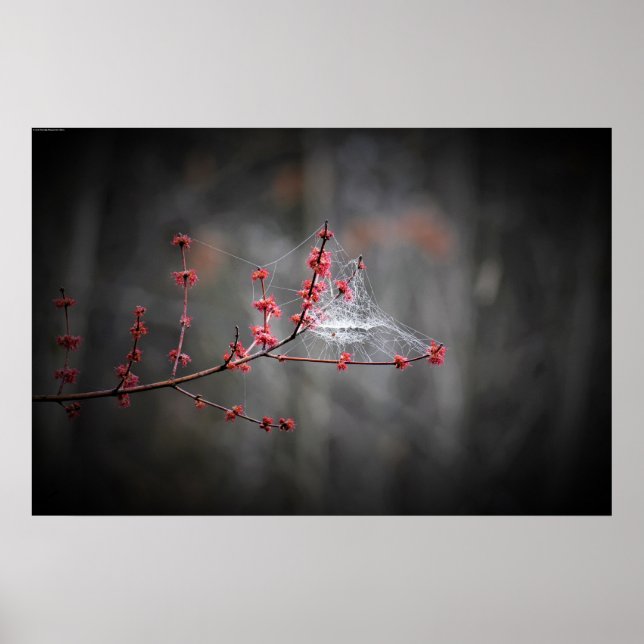 Väggkonst (Framsidan)