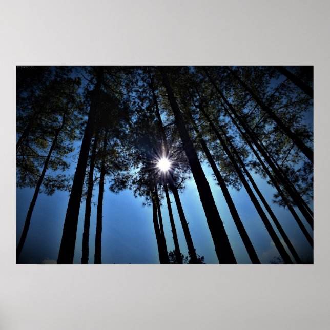 Väggkonst (Framsidan)