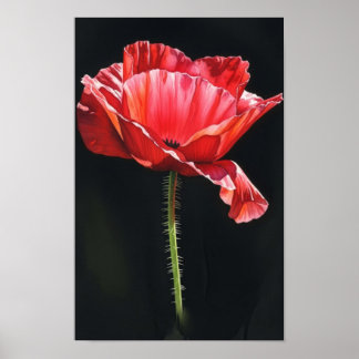 Väggkonst. Blomma i svartheten Poster
