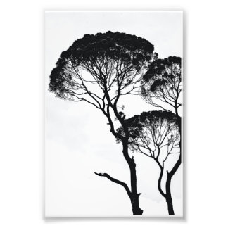 Väggkonst Fototryck