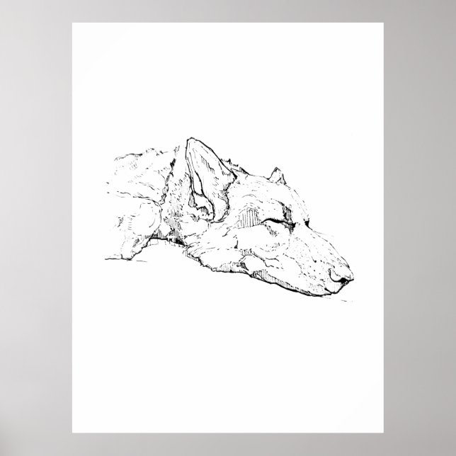 Väggkonst Illustration, Teckning av tysk schäferhu (Framsidan)