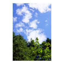 Väggkonst Lönnträd Blå himmel Vita moln Natur