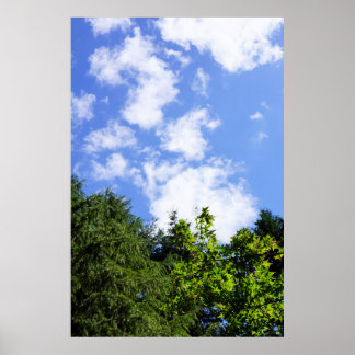 Väggkonst Lönnträd Blå himmel Vita moln Natur