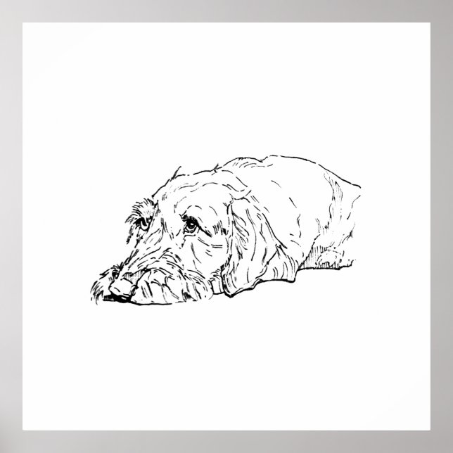 Väggkonst, Strävhårig Dachshund - Söt Poster (Framsidan)