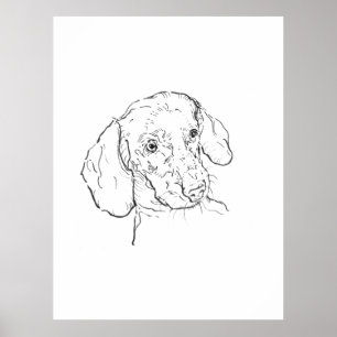Väggkonsttryck, Dachshund, Korvhund, Wienerhund Poster