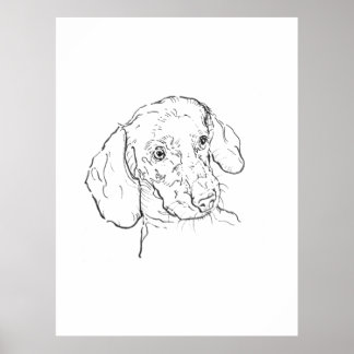 Väggkonsttryck, Dachshund, Korvhund, Wienerhund Poster