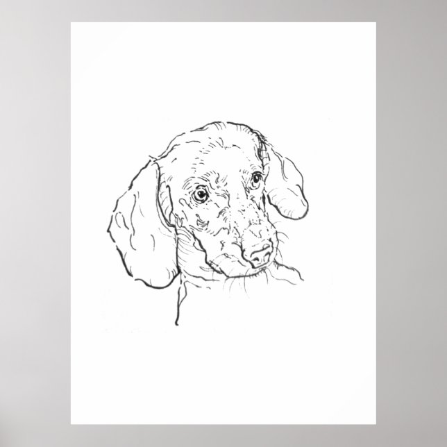 Väggkonsttryck, Dachshund, Korvhund, Wienerhund Poster (Framsidan)