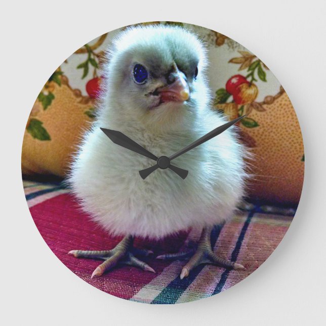 Vägglås för Baby-Chick Stor Klocka (Framsida)