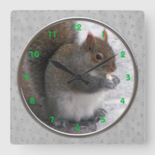 Vägglås för ekorrar fyrkantig klocka