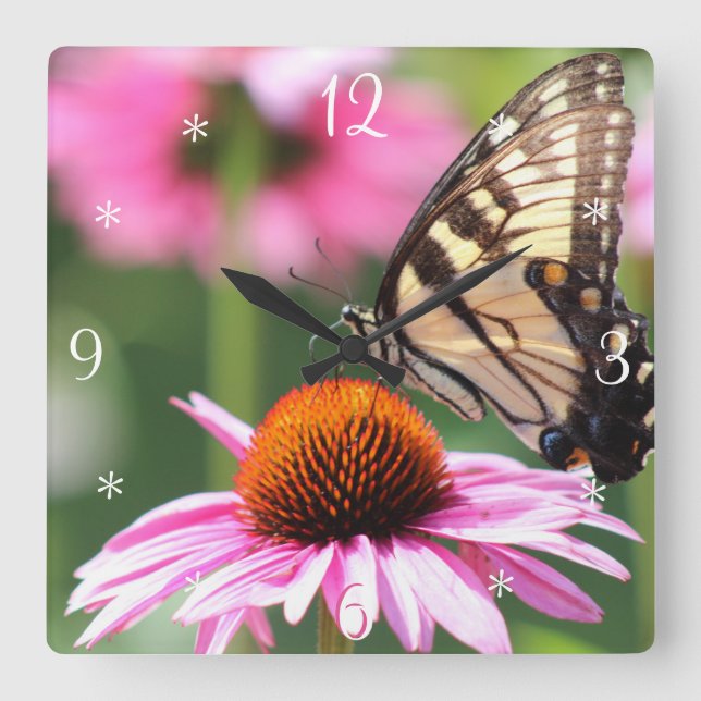 Vägglås för svansvampsmusslor, gult fyrkantig klocka (Framsida)