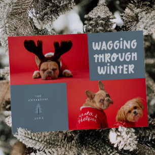 Vaggning genom Vinter Slate Blue Pet Photo Julkort