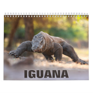 Väggskalender i Iguana 2022 Kalender