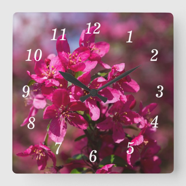 Väggsluss för Crab Apple-skuggor Fyrkantig Klocka (Framsida)