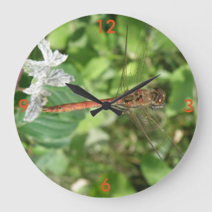 Väggsluss för mörkare Dragonfly Stor Klocka