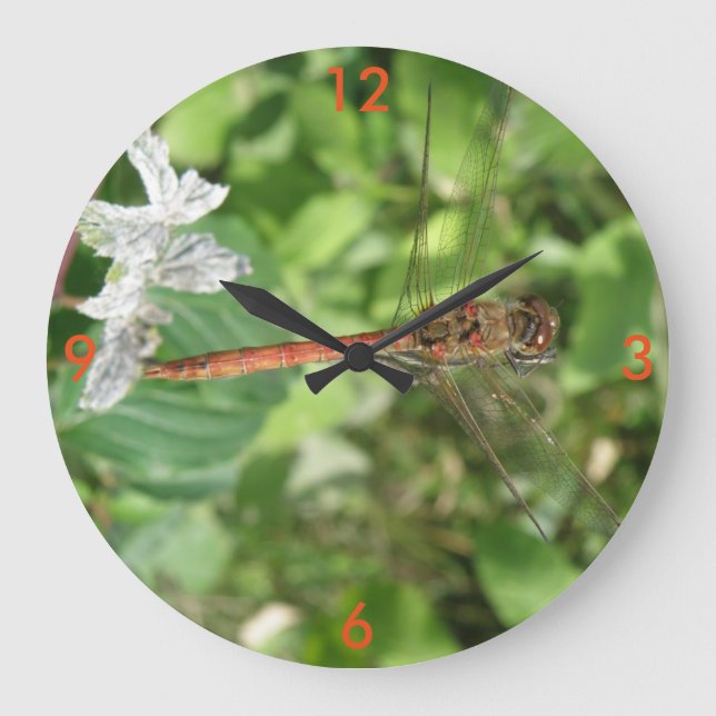 Väggsluss för mörkare Dragonfly Stor Klocka (Framsida)