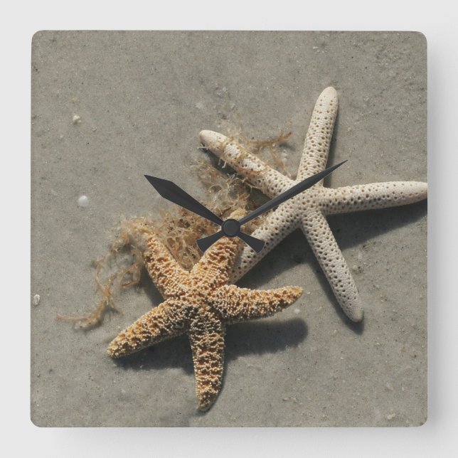 Väggur för persikor (Framsida)