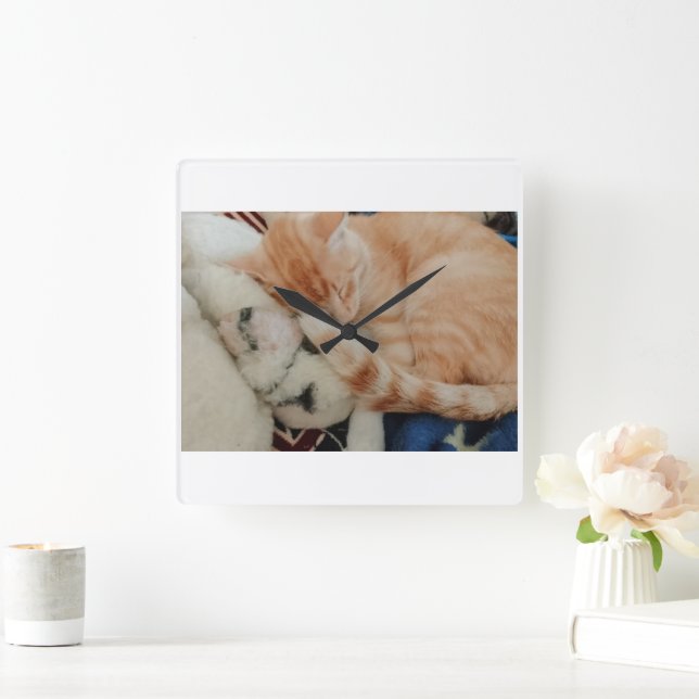 Väggur med sovande kattfoto (Hem)