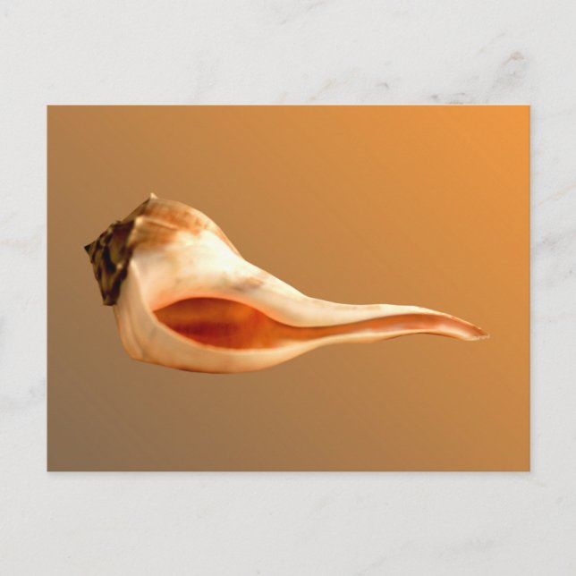 Väggvalssvarv Lämnat Vykort (Framsida)