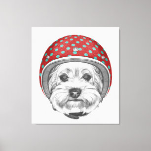 Våghals för Yorkshire Terrier Canvastryck