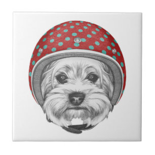 Våghals för Yorkshire Terrier Kakelplatta