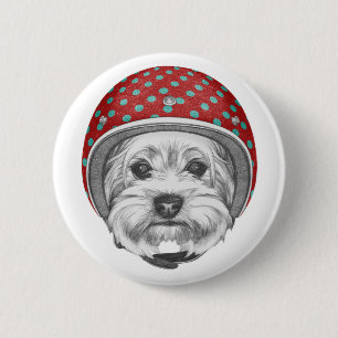 Våghals för Yorkshire Terrier Knapp
