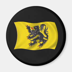 Vågigt den Flanders flagga Magnet