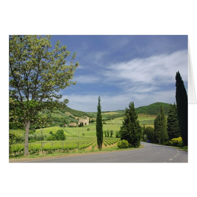 Vägkurva mellan cypress träd i land i hälsningskort (Framsidan Horizontal)