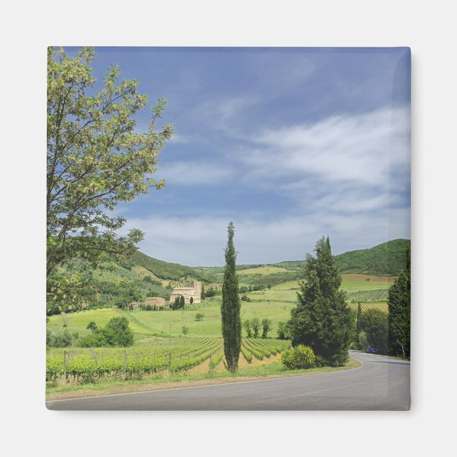 Vägkurva mellan cypress träd i land i magnet (Framsidan)