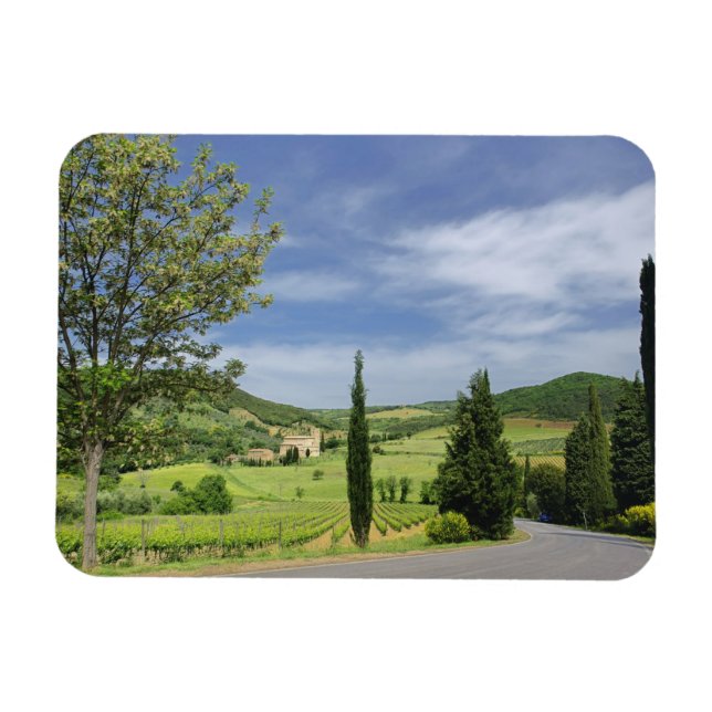 Vägkurva mellan cypress träd i land i magnet (Horisontell)