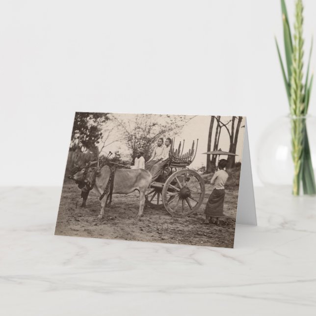 Vagnen drog vid två oxar på Mandalay, Burma Kort (Framsida)