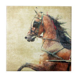 Vagnshästponny Kakelplatta