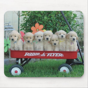 Vagnvalper Mousepad Musmatta