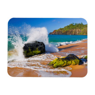 Vågor kraschar på stranden, Hawaii Magnet