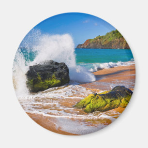 Vågor kraschar på stranden, Hawaii Magnet
