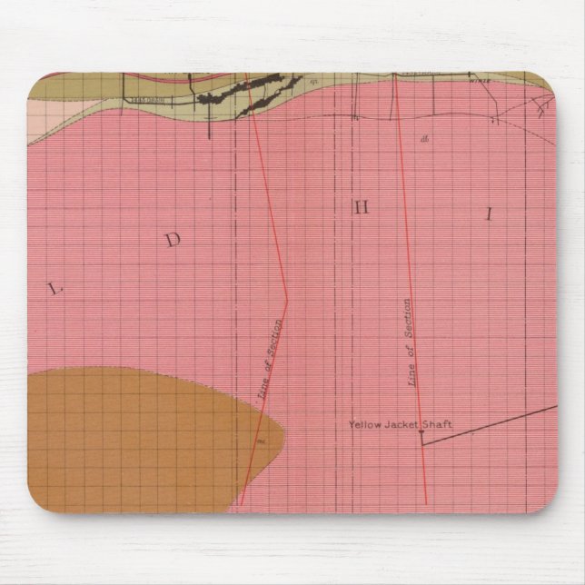 Vågrät avsnitt av stamloden söderut musmatta (Framsidan)