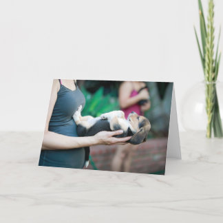 Vågrät Beagle Baby Kort