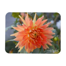 Vågrät magnet med lös orange dahlia