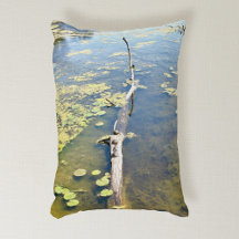 Vågrät Sjö Erie Metropark Turtle Log